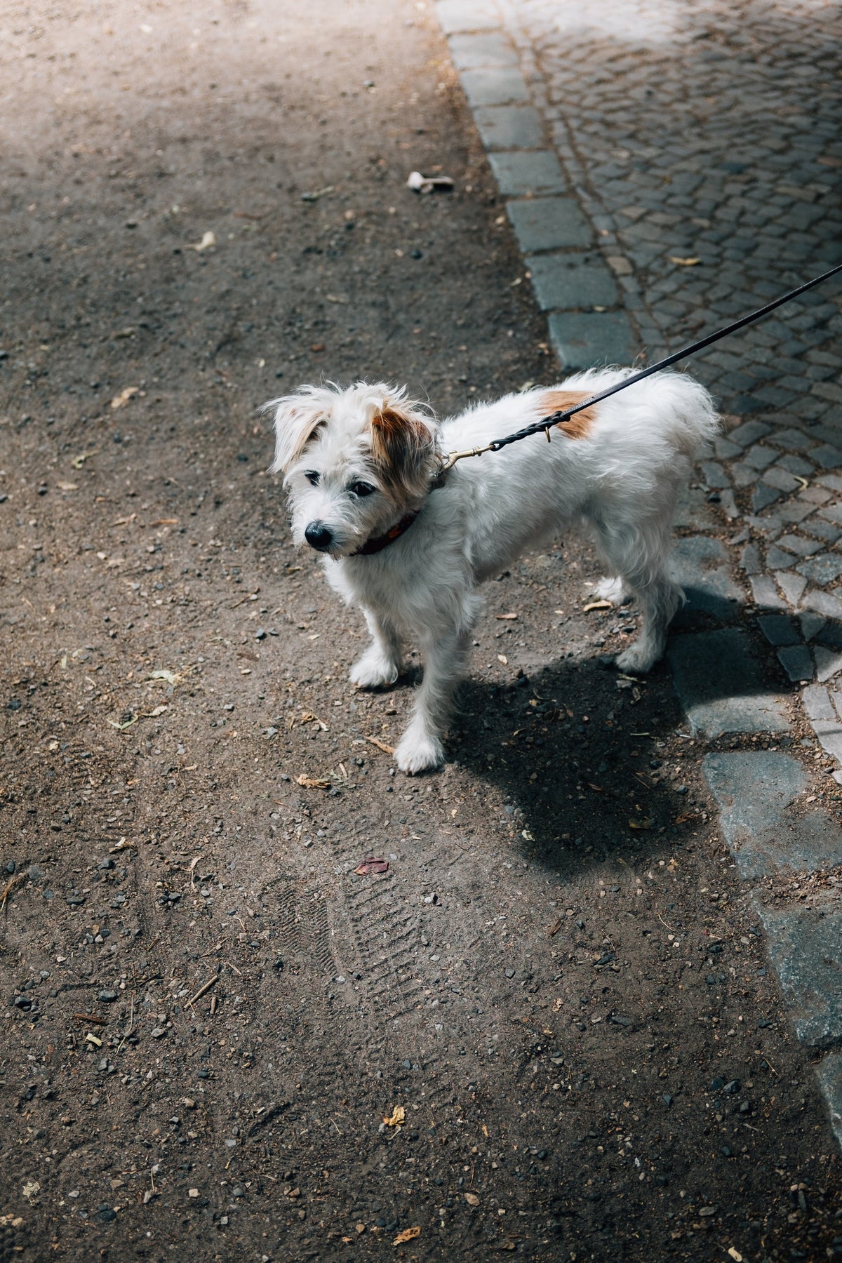 Walk & Safety